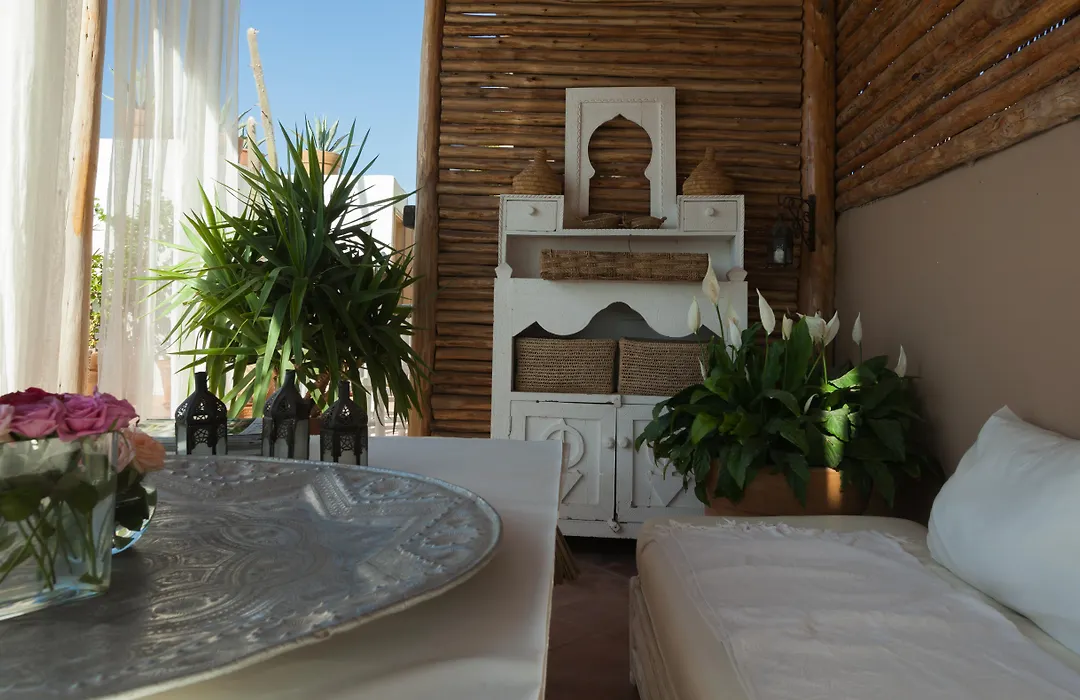 Riad Les Orangers D'Alilia-1