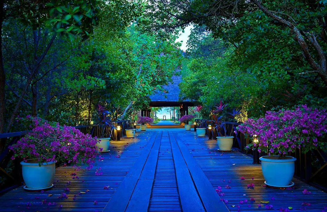 Rebak Island Resort & Marina, Langkawi 大自然 野生动物与美食爱好者的天堂-1
