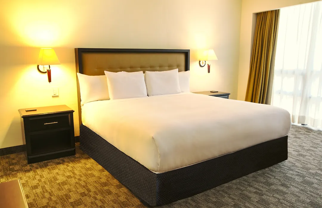 Wyndham Garden Guatemala City-1