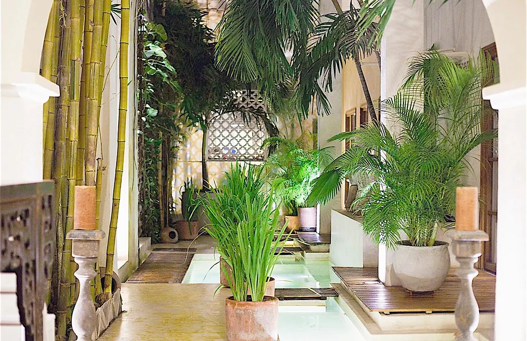 Hotel Casa Lola Deluxe Gallery-1