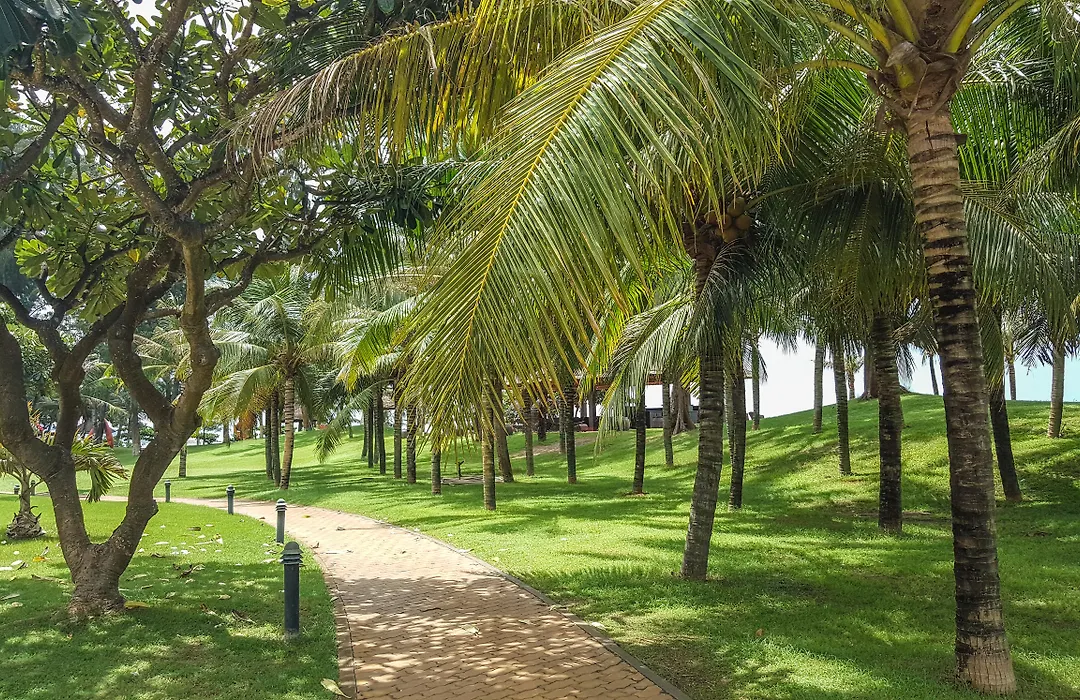 Phan Thiet Ocean Dunes Resort-1