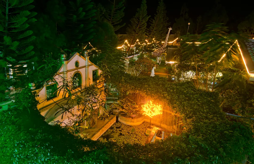 Deep Forest Garden Hotel-1
