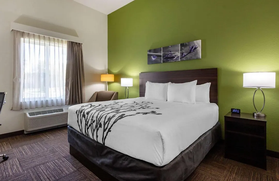 Sleep Inn & Suites Tampa South-1