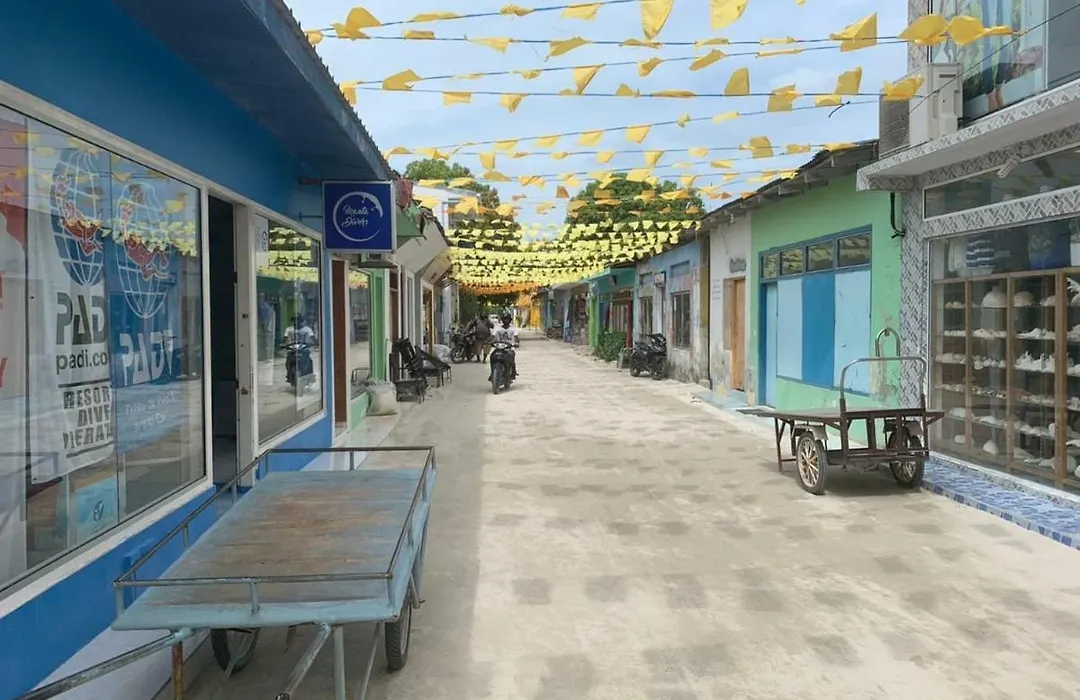 La Isla Tropica-1