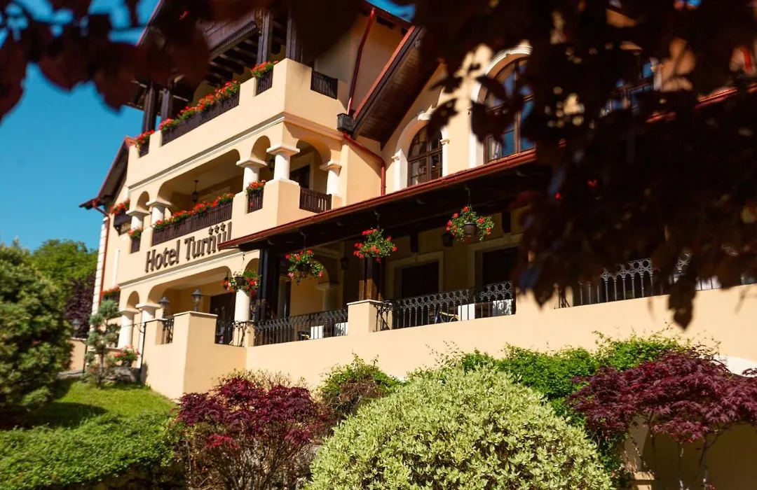 Hotel Turnul-1