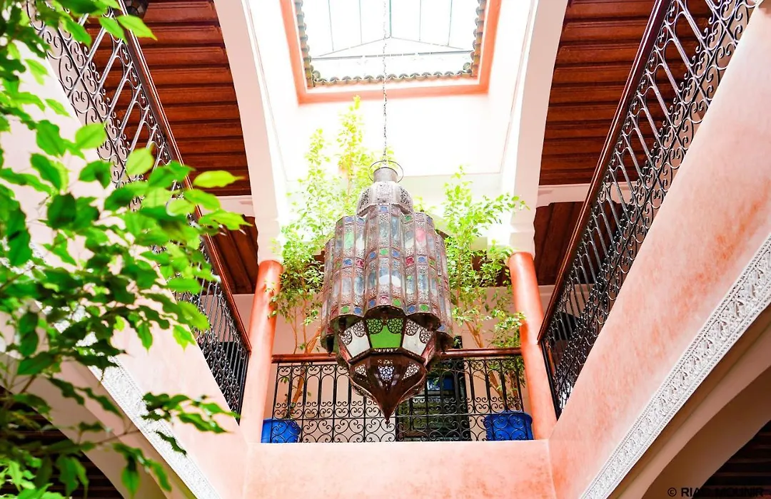 Riad Mounir-1