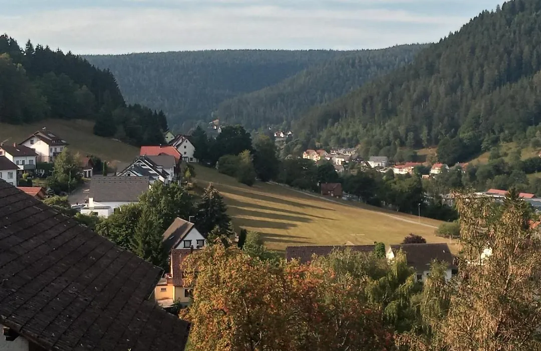 Waldblick-1