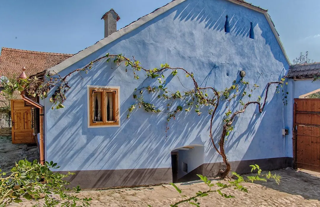 Viscri 32 - White Barn And Blue House-1