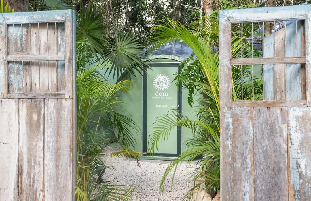 Oom Bubble Boutique Riviera Cancun - Adults Only-1