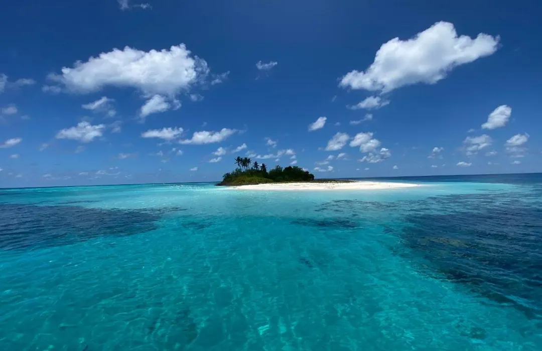 White Coral Rasdhoo-1