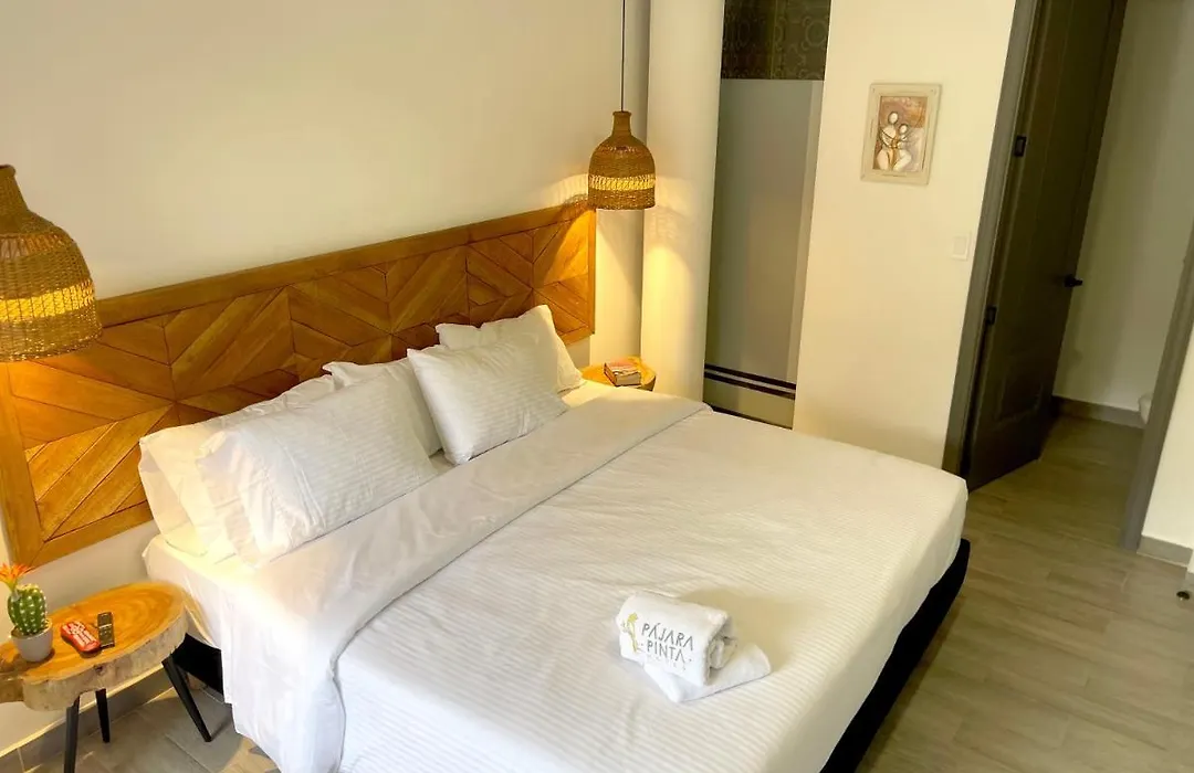 Hotel Pajara Pinta-1