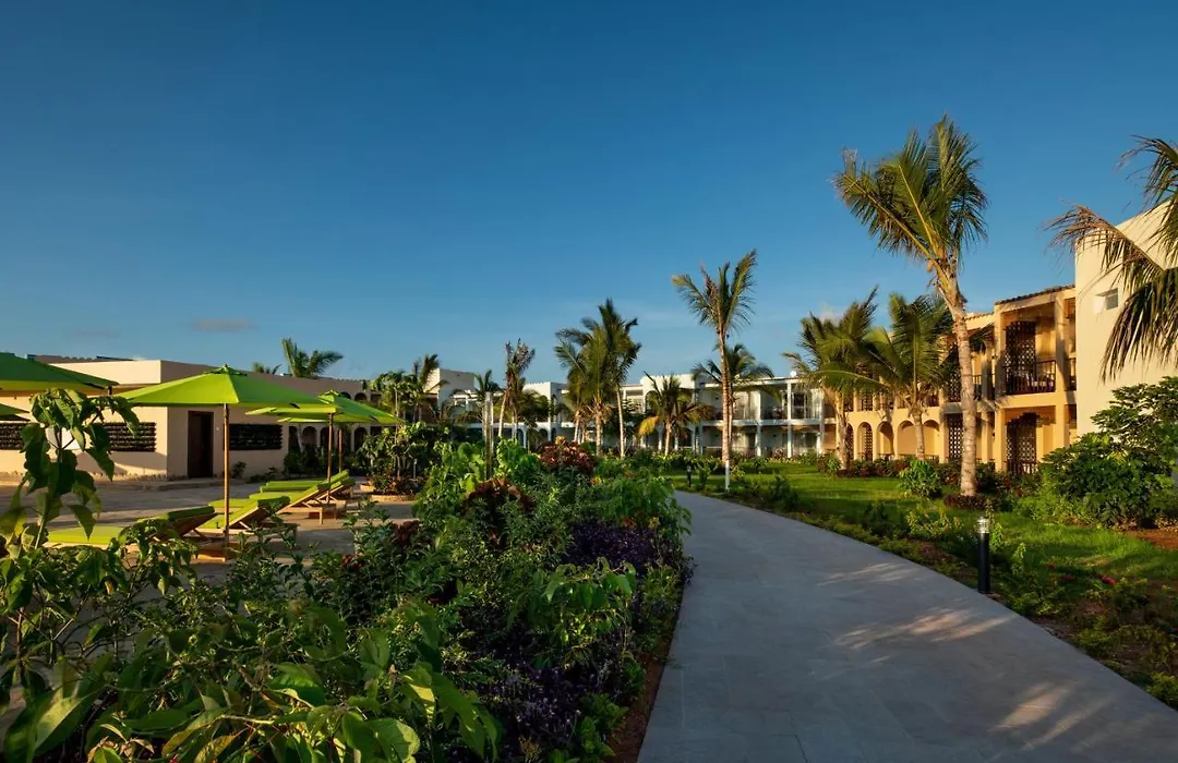 The Mora Zanzibar-1