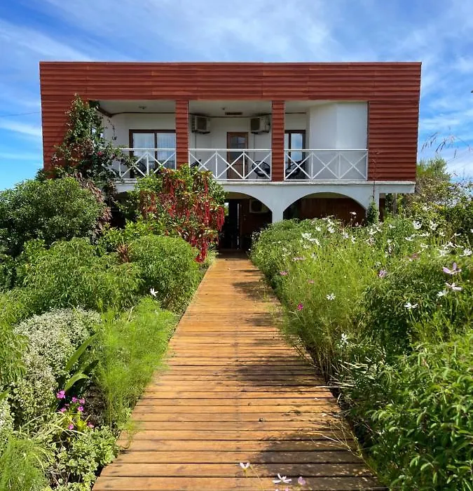 Teanehi Bed & Breakfast-1