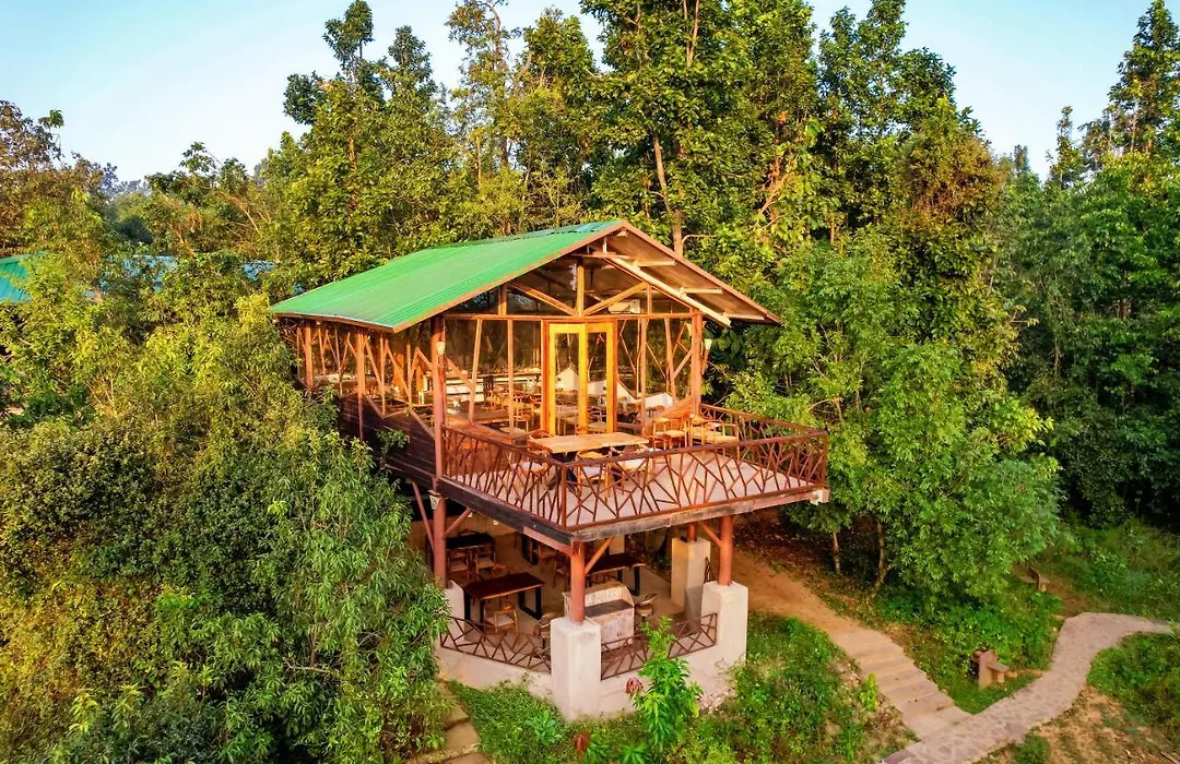 Kanha Jungle Camp-1
