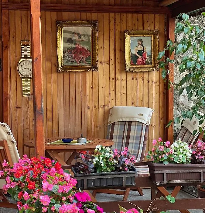 City Centar Apartman-1