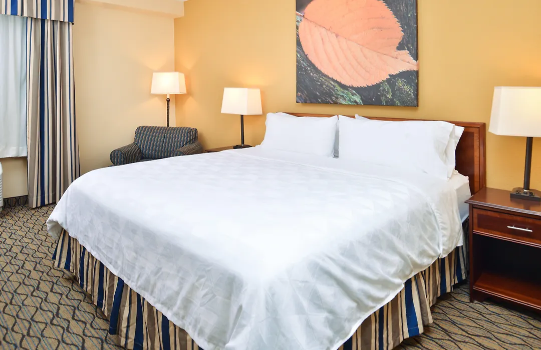 Holiday Inn & Suites Chicago-Downtown By Ihg-1