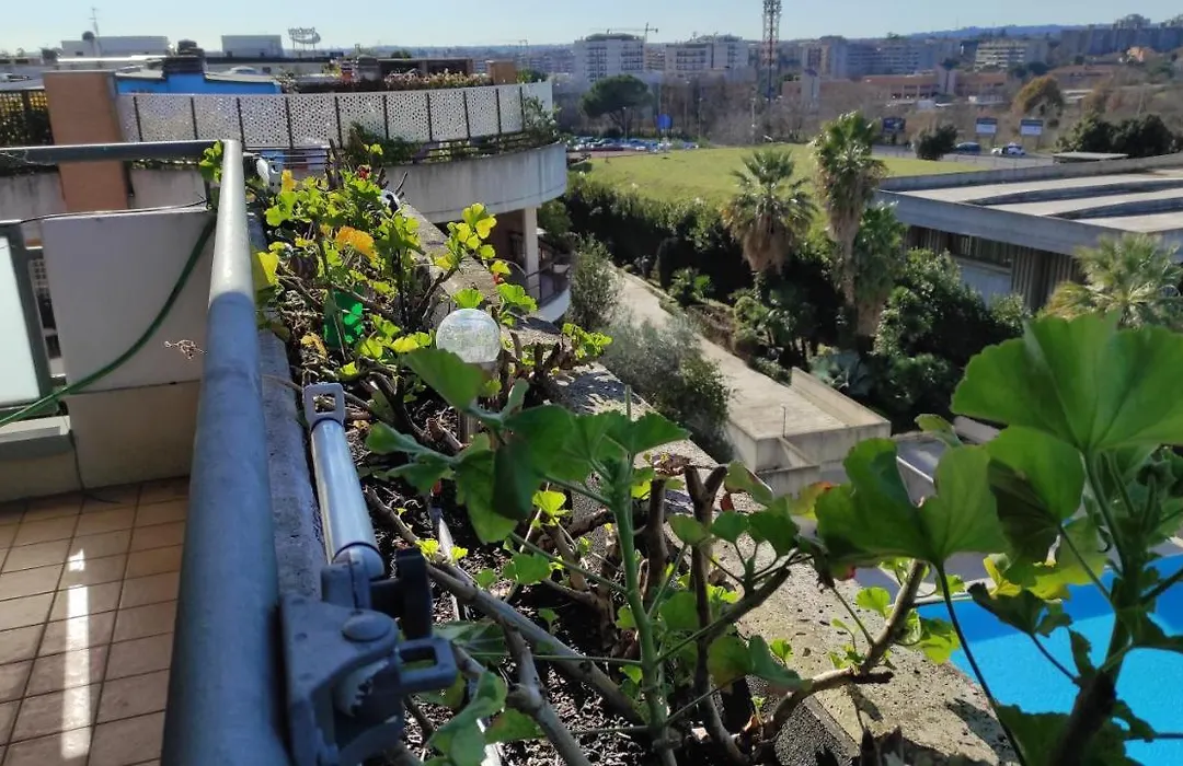 Home With A View-1
