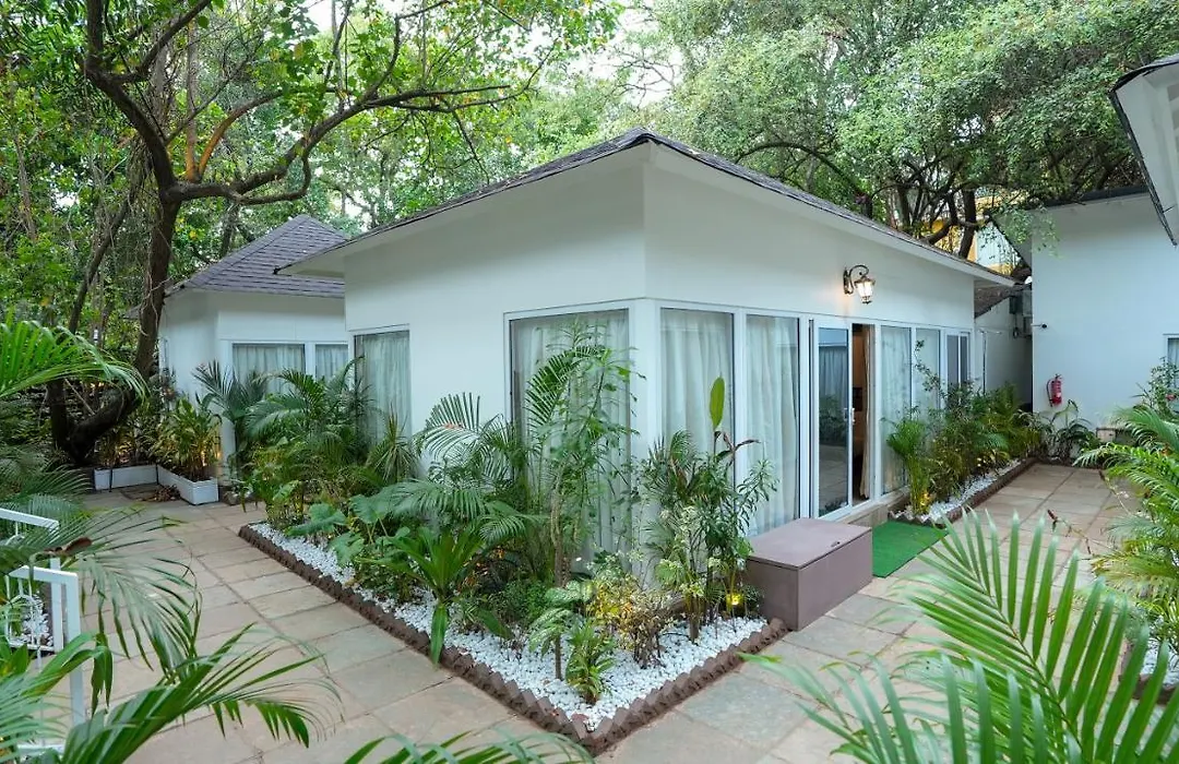 Swimup - Suites With Private Pool , Vagator-1
