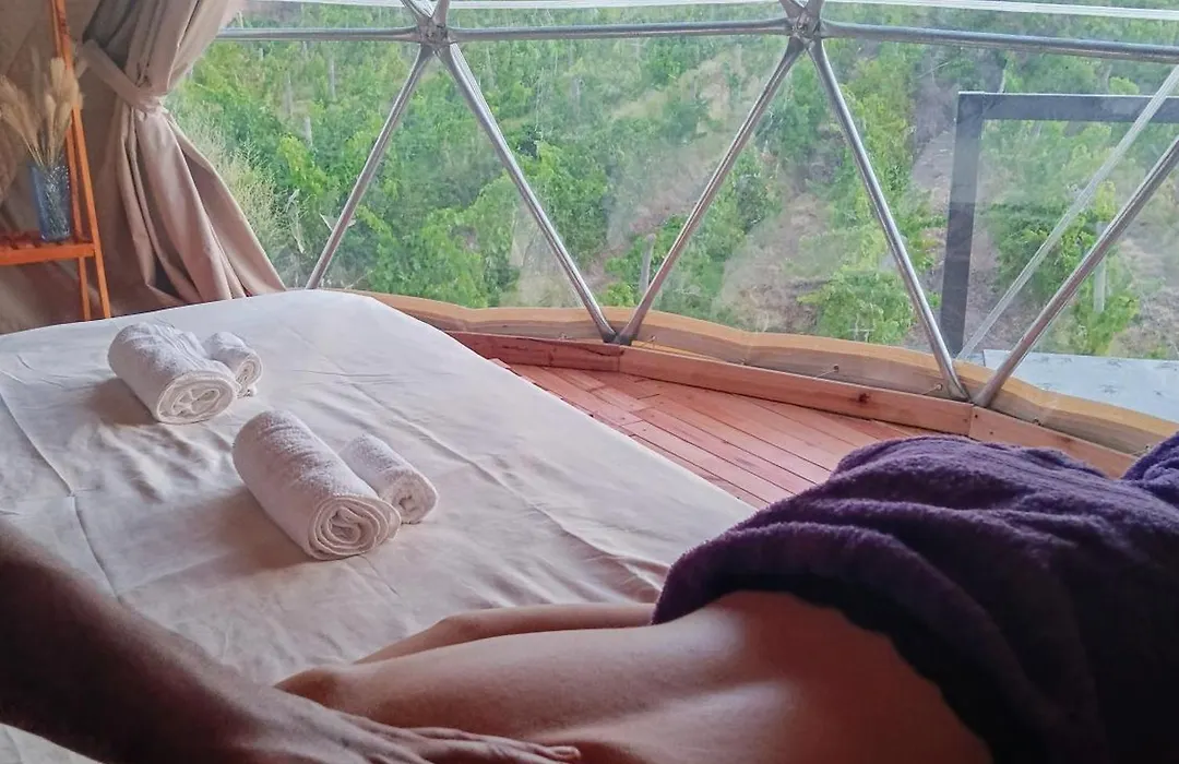 Entre Racimos, Glamping Entre Vinedos En Bodega-1