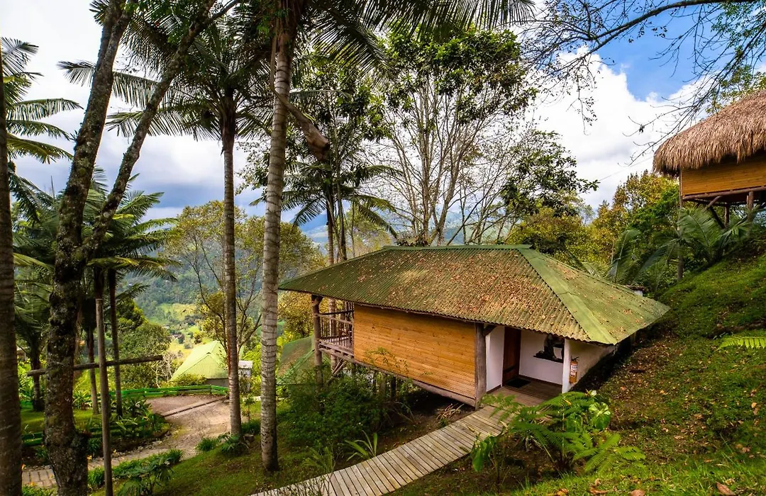 Hotel Kawa Mountain Retreat-1