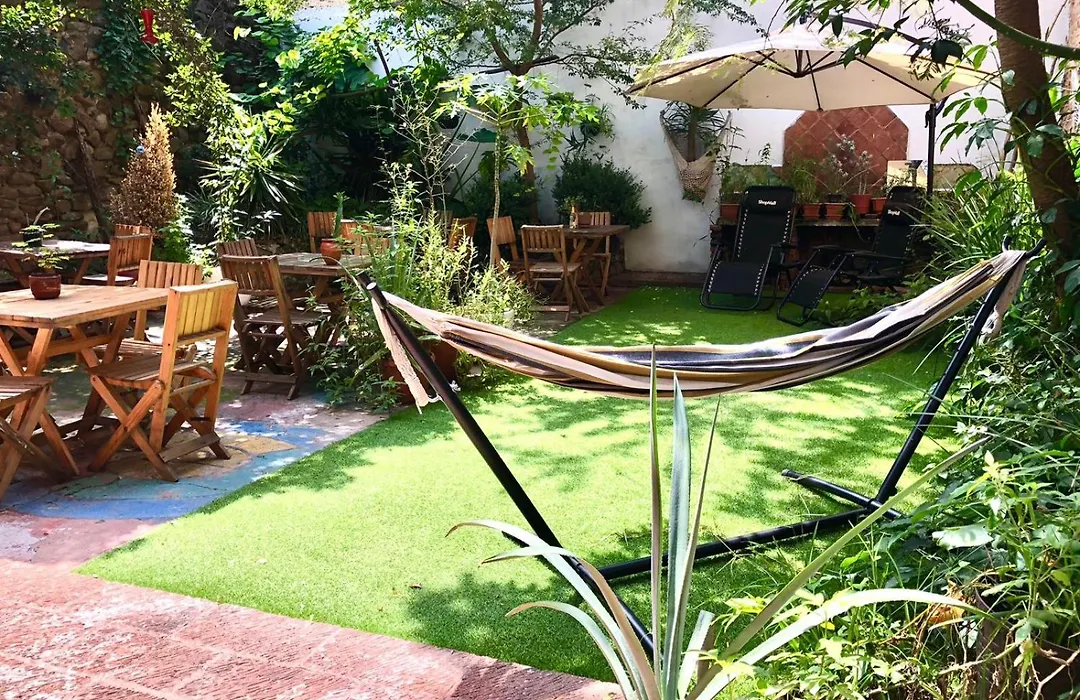 Leveli Coliving & Hostel Guadalajara-1