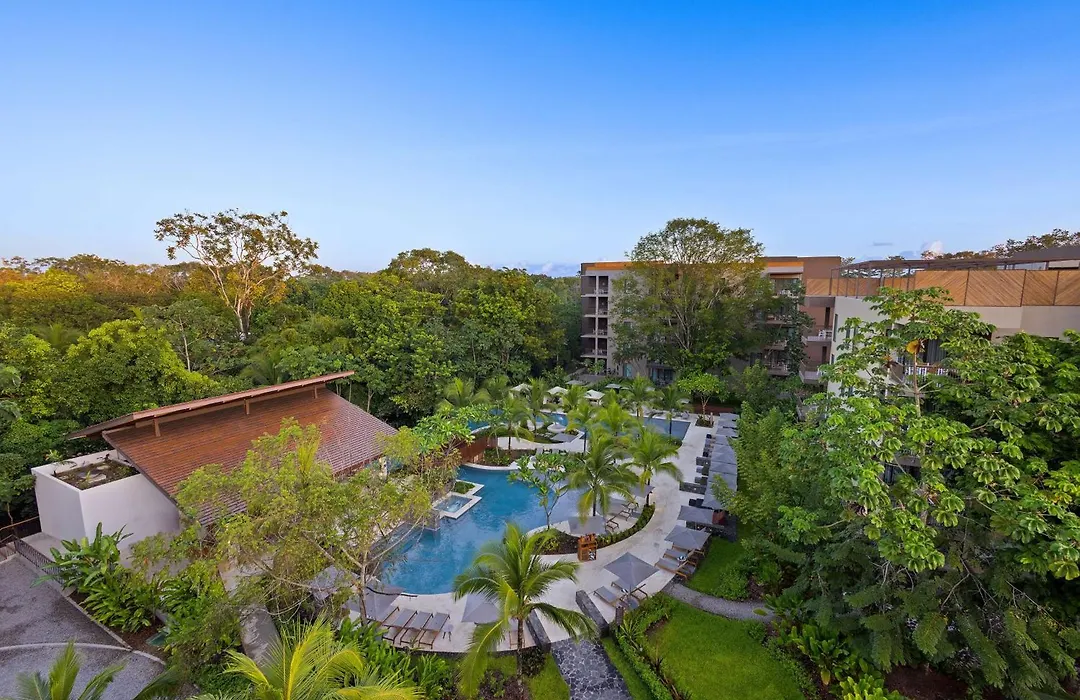 Botanika Osa Peninsula, Curio Collection By Hilton-1