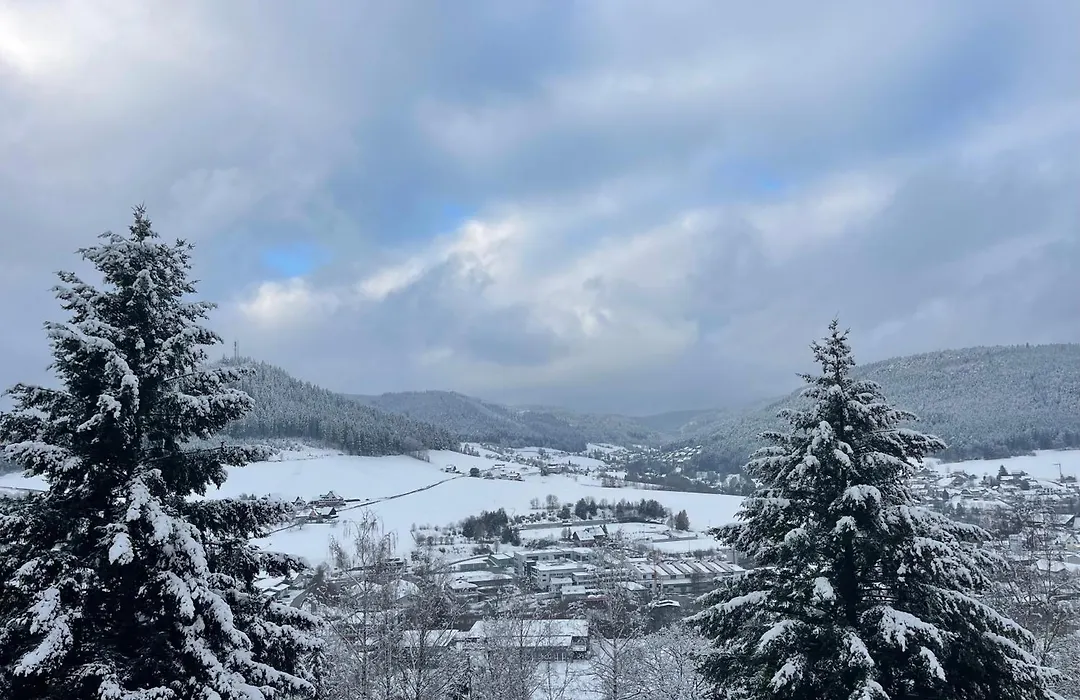 Studio Tonbachblick Baiersbronn-1