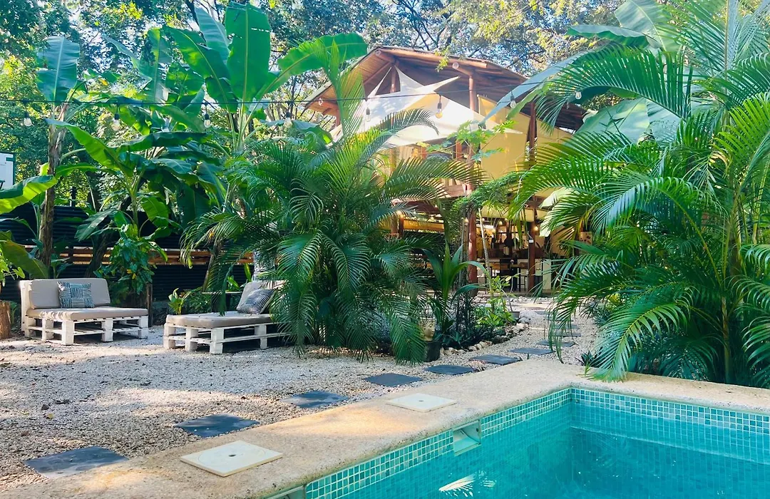 Calipso Ocean Lodge- Avellana Beach Hotel-1