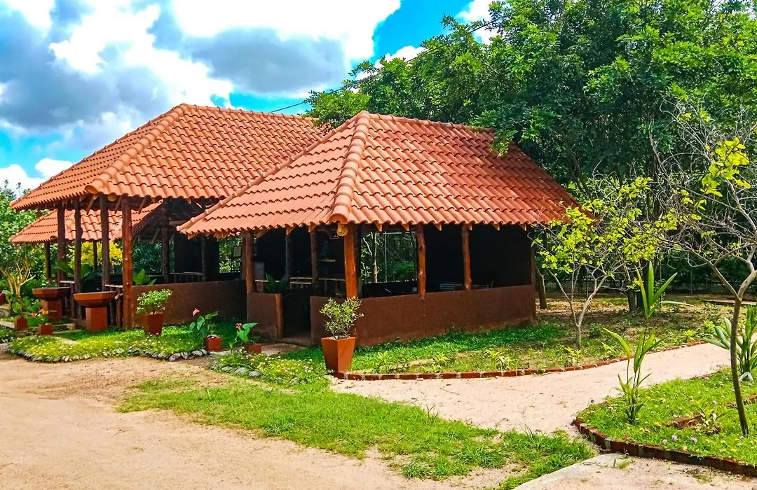 Ceylon Amigos Eco Resort-1