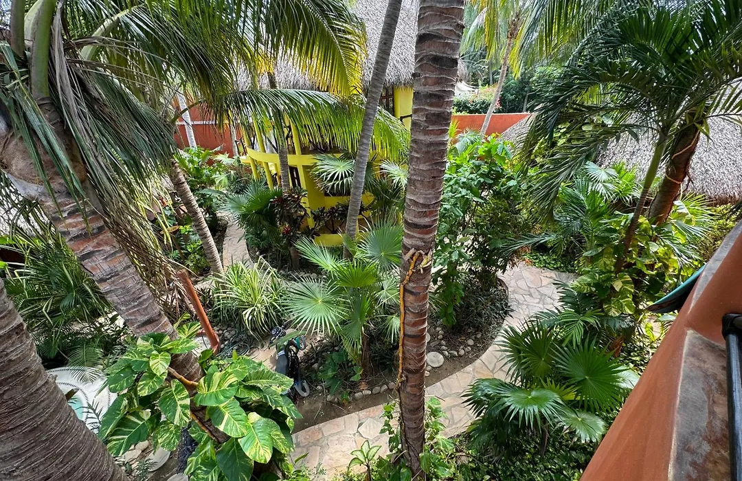 One Love Hostal Puerto Escondido-1
