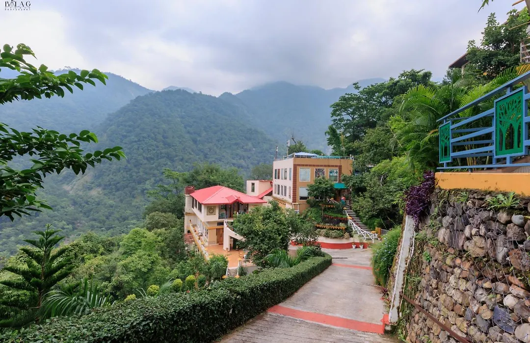Veda5 Ayurveda & Yoga Retreat-1