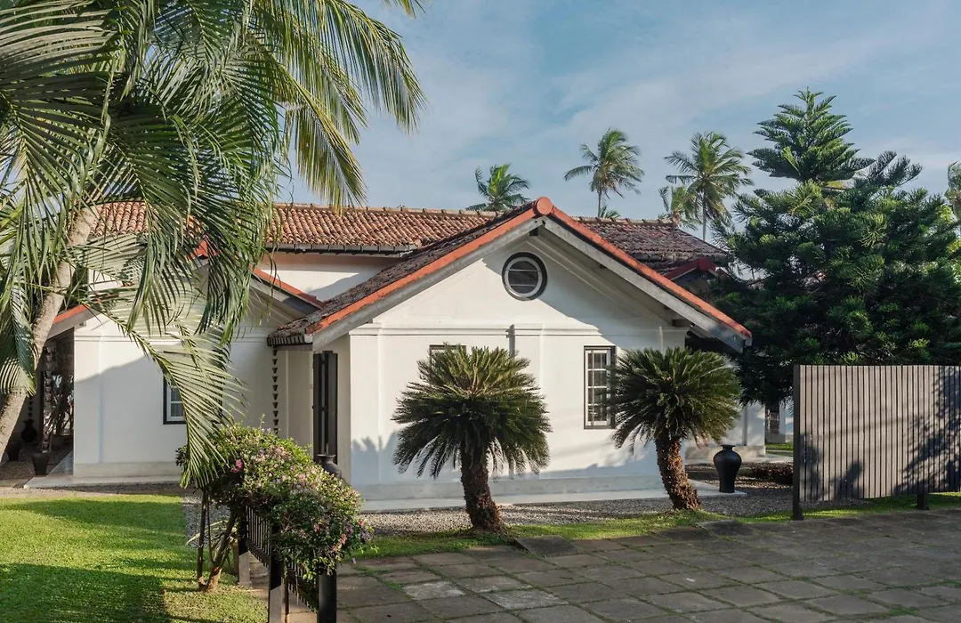 Coco Tangalla-1