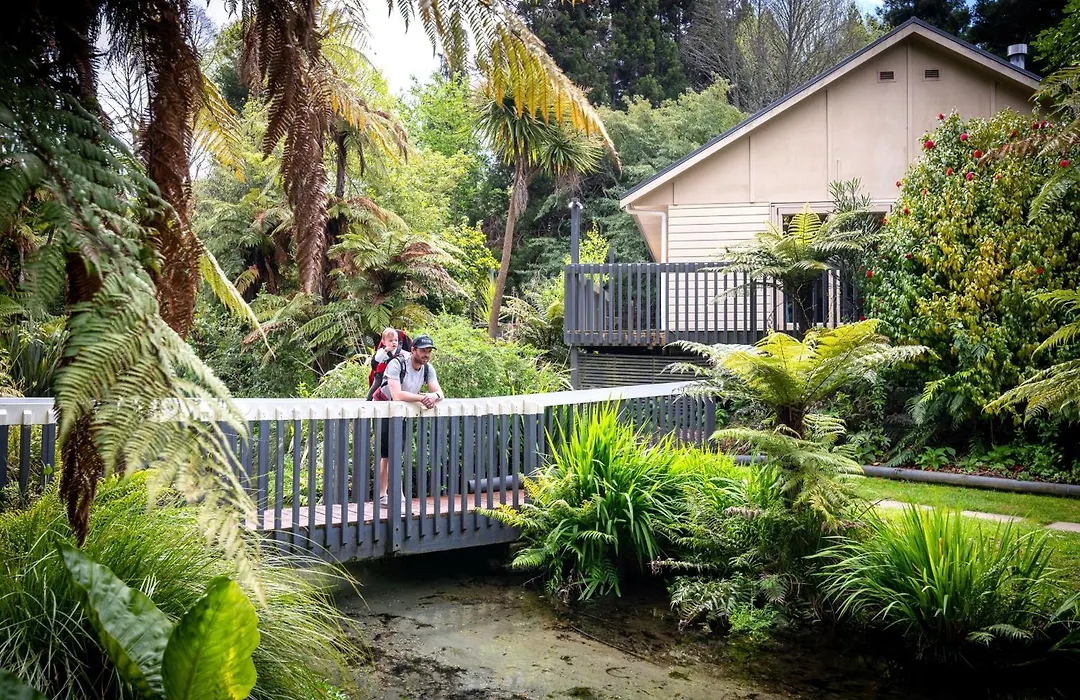 Ripple Rotorua-1