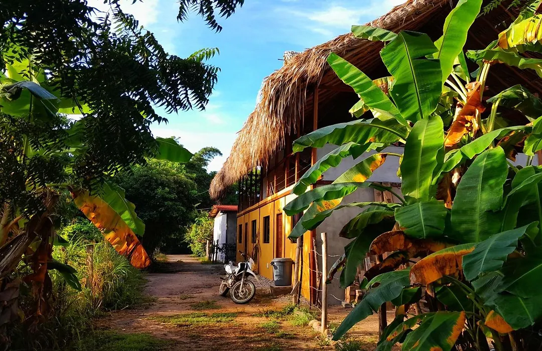 Casa Matilda - Palomino-1