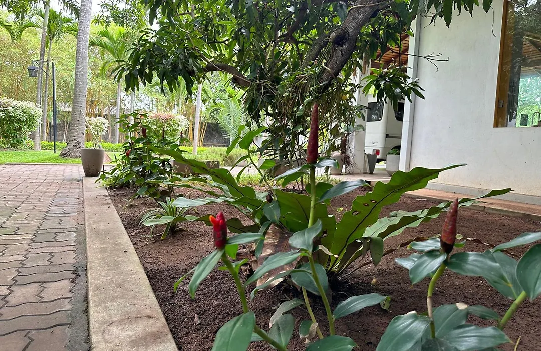 Amaluna Resorts-1