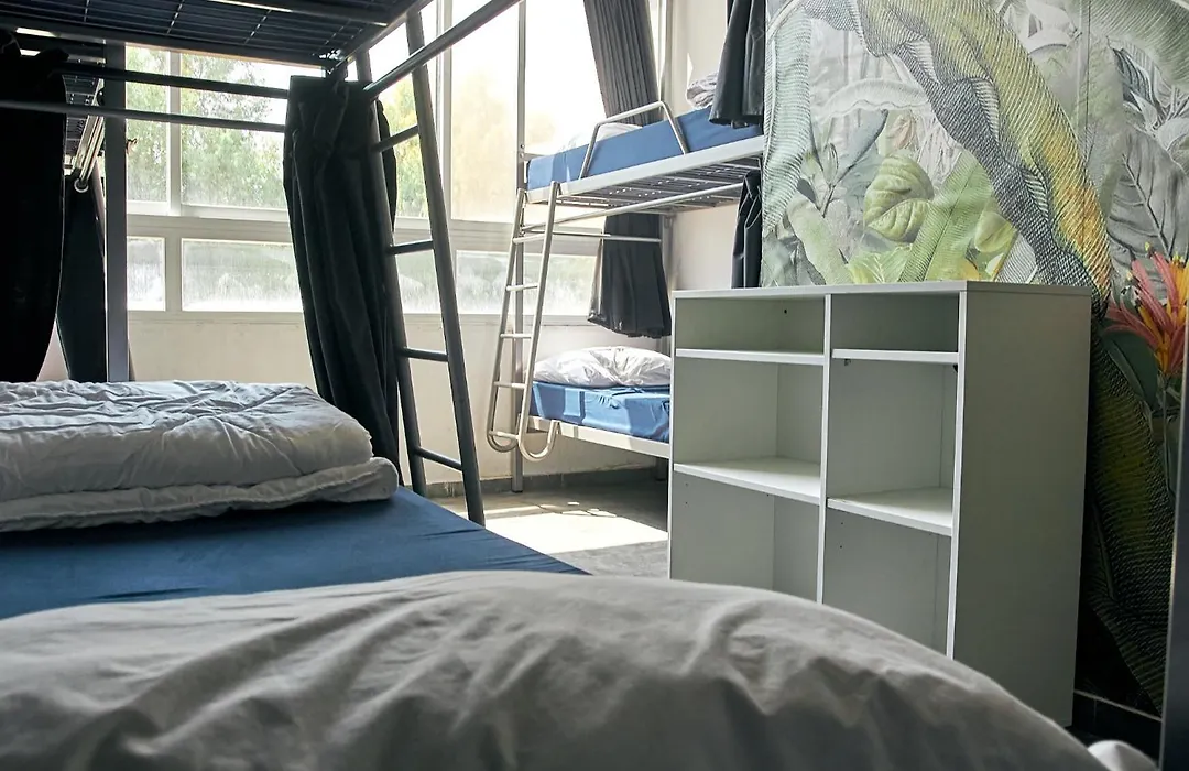 Jungle Jaffa Hostel Age 18 To 45-1