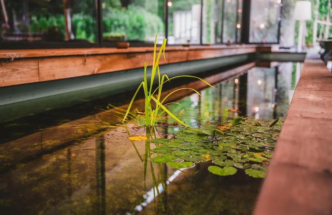 Utopia Hotel - Art & Nature Hotel-1