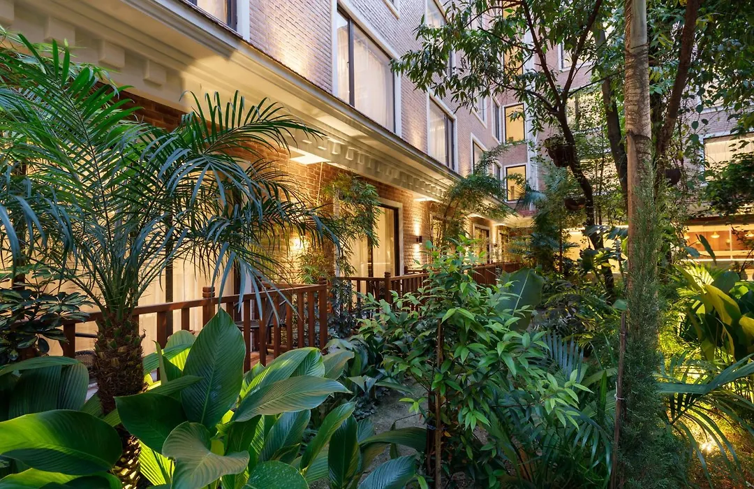 Hotel Thrive, A Tropical Courtyard-1
