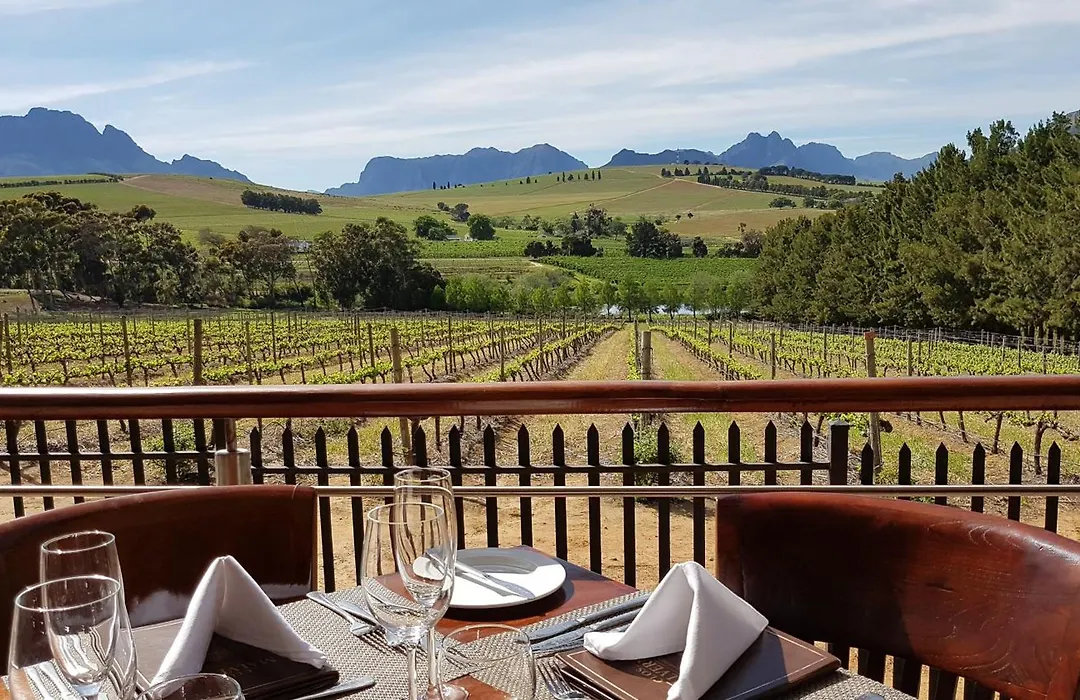 Clos Malverne Wine Estate-1