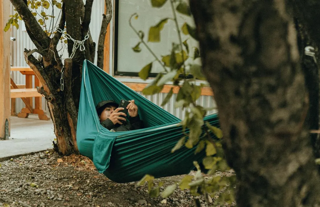 Camping Yellow Plum-1
