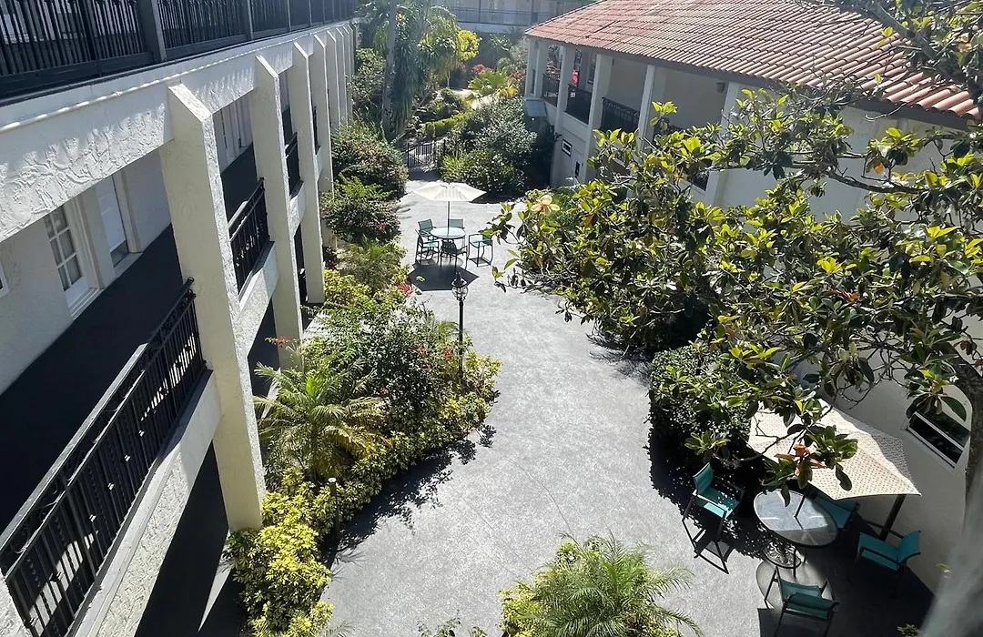 Red Roof Inn Plus & Suites Tampa - Busch Gardens-1