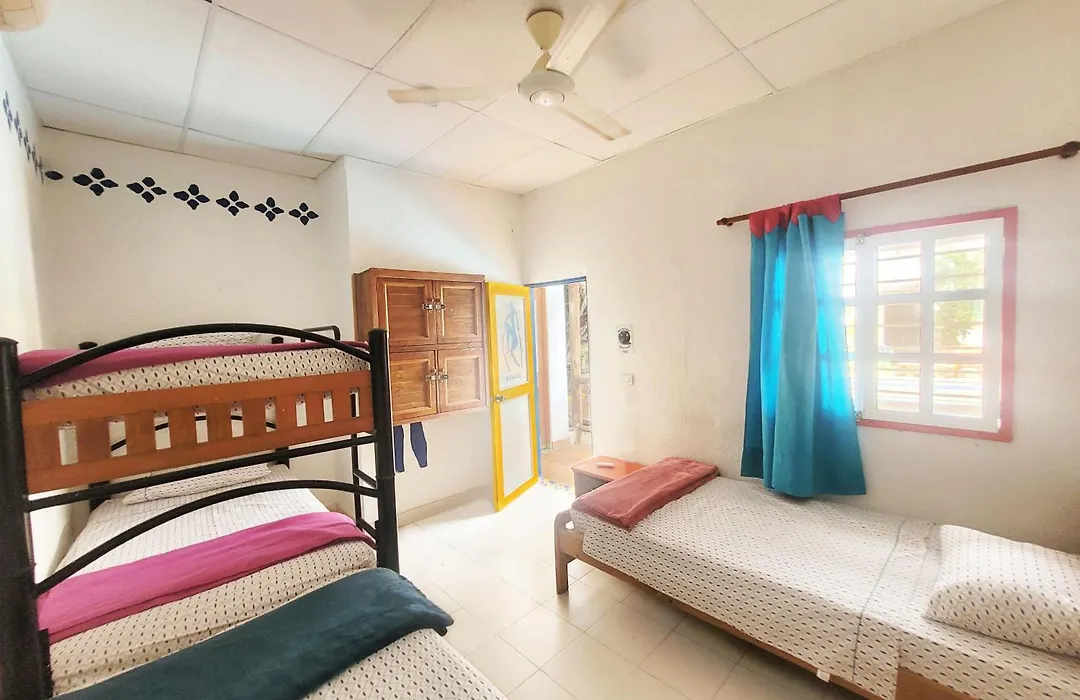 Divanga Hostel And Diving-1