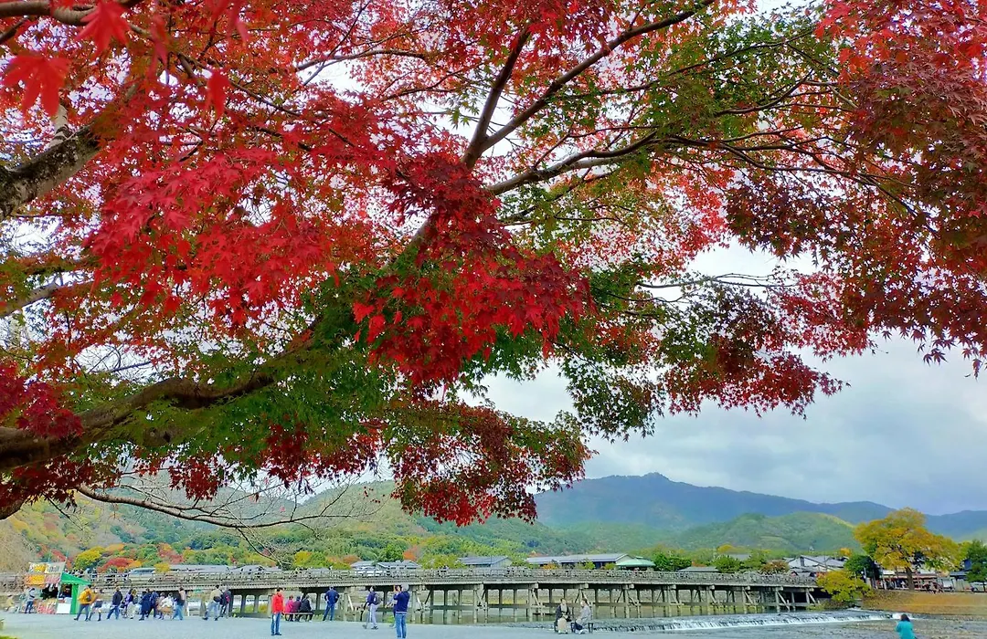 Kadensho, Arashiyama Onsen, Kyoto - Reopening On 2026-1