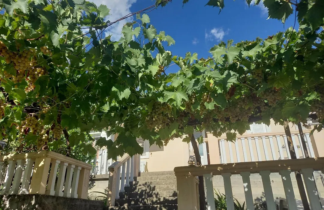 Apartman Maslovar-1