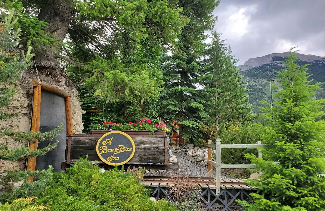 A Bear And Bison Country Inn-1