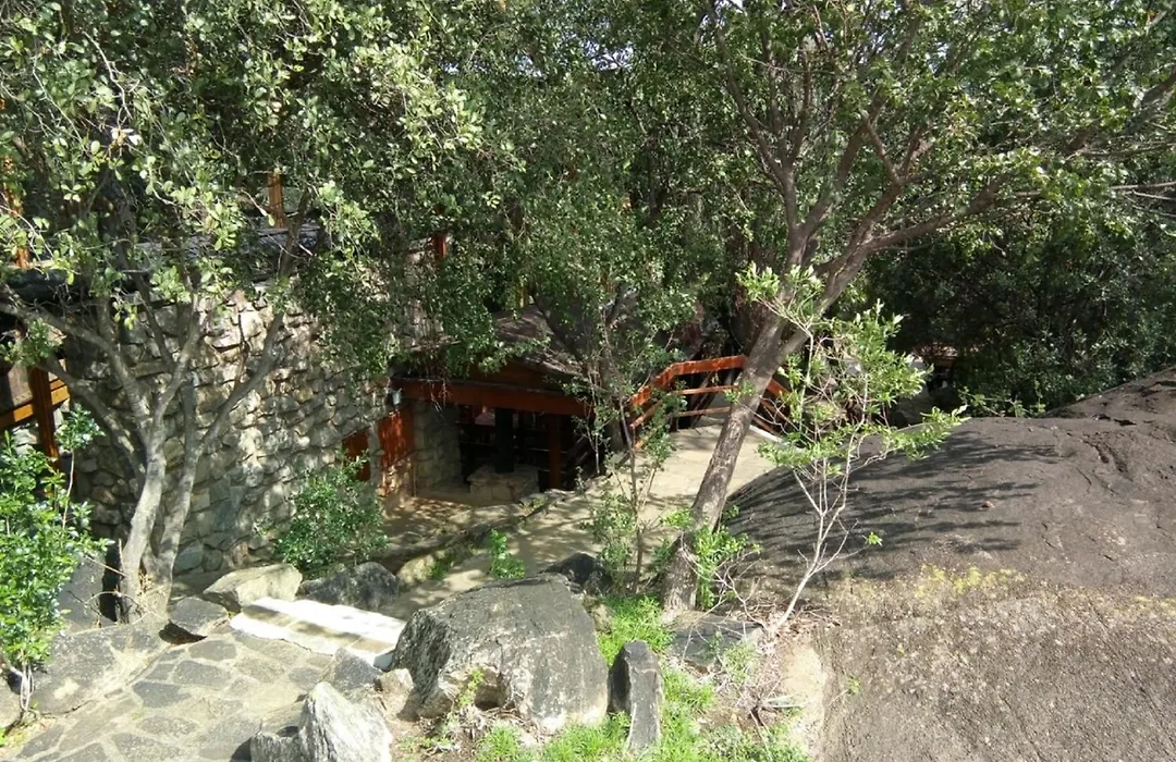 Lobo Wildlife Lodge-1