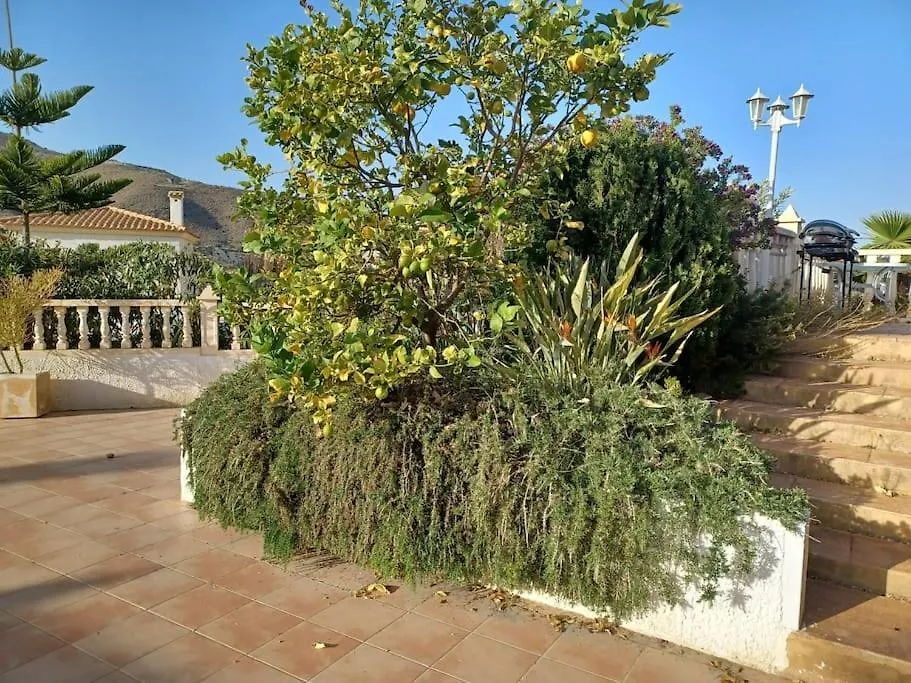 Casa Los Olivos, Villa With A Pool-1
