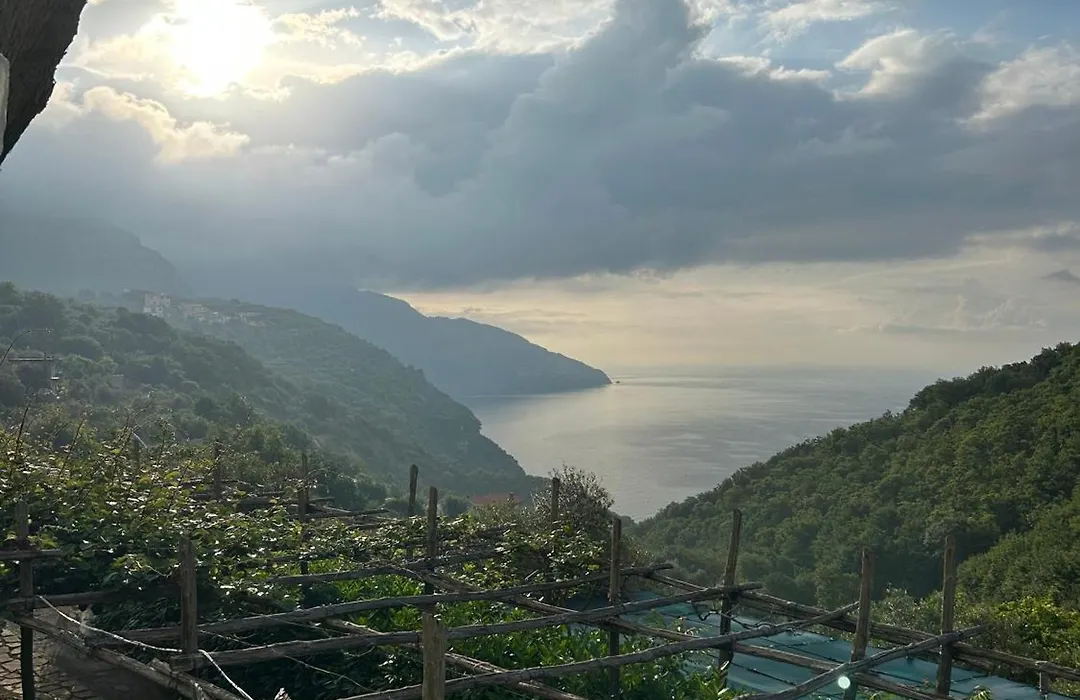 Villa Costanza Sorrento B&B-1