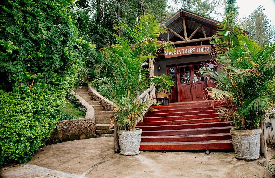 Malkia Trees Lodge-1
