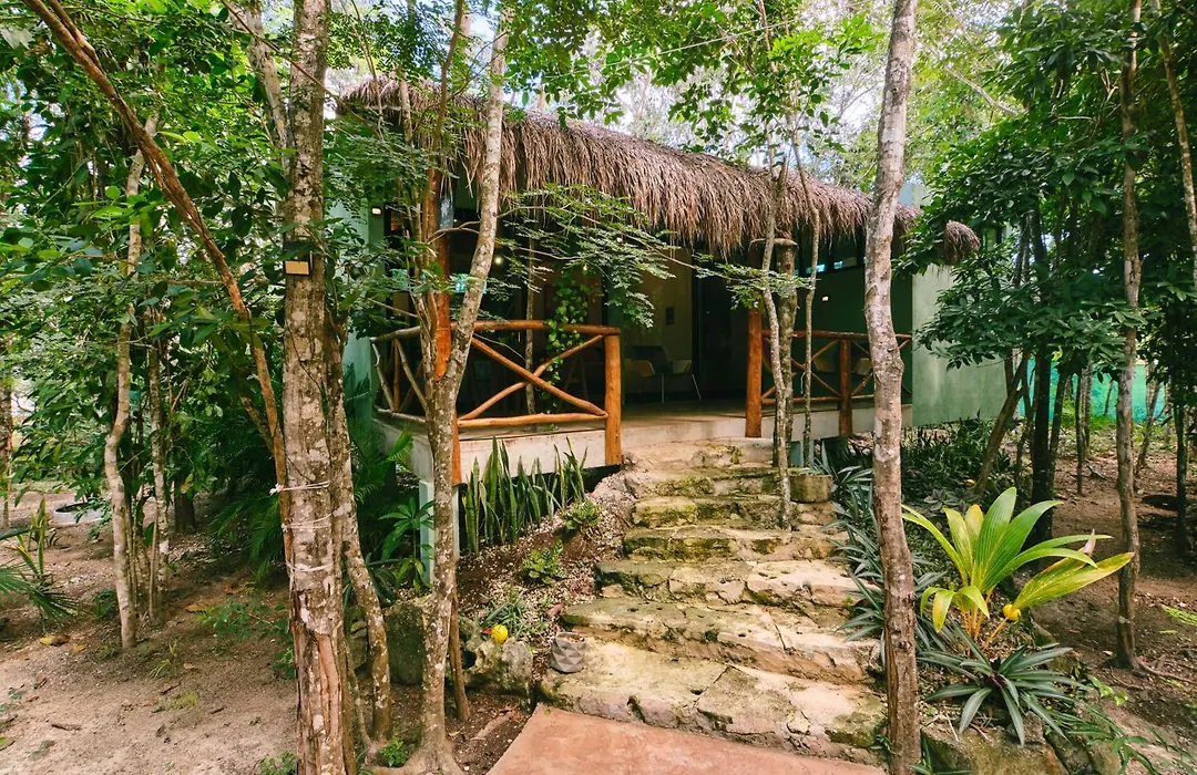 Villas Zamna - Jungle Villas-1